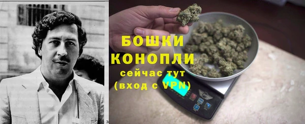 ALPHA PVP Надым