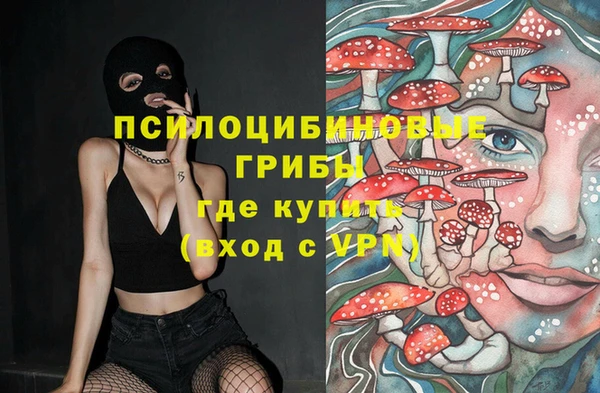 Альфа ПВП Валдай
